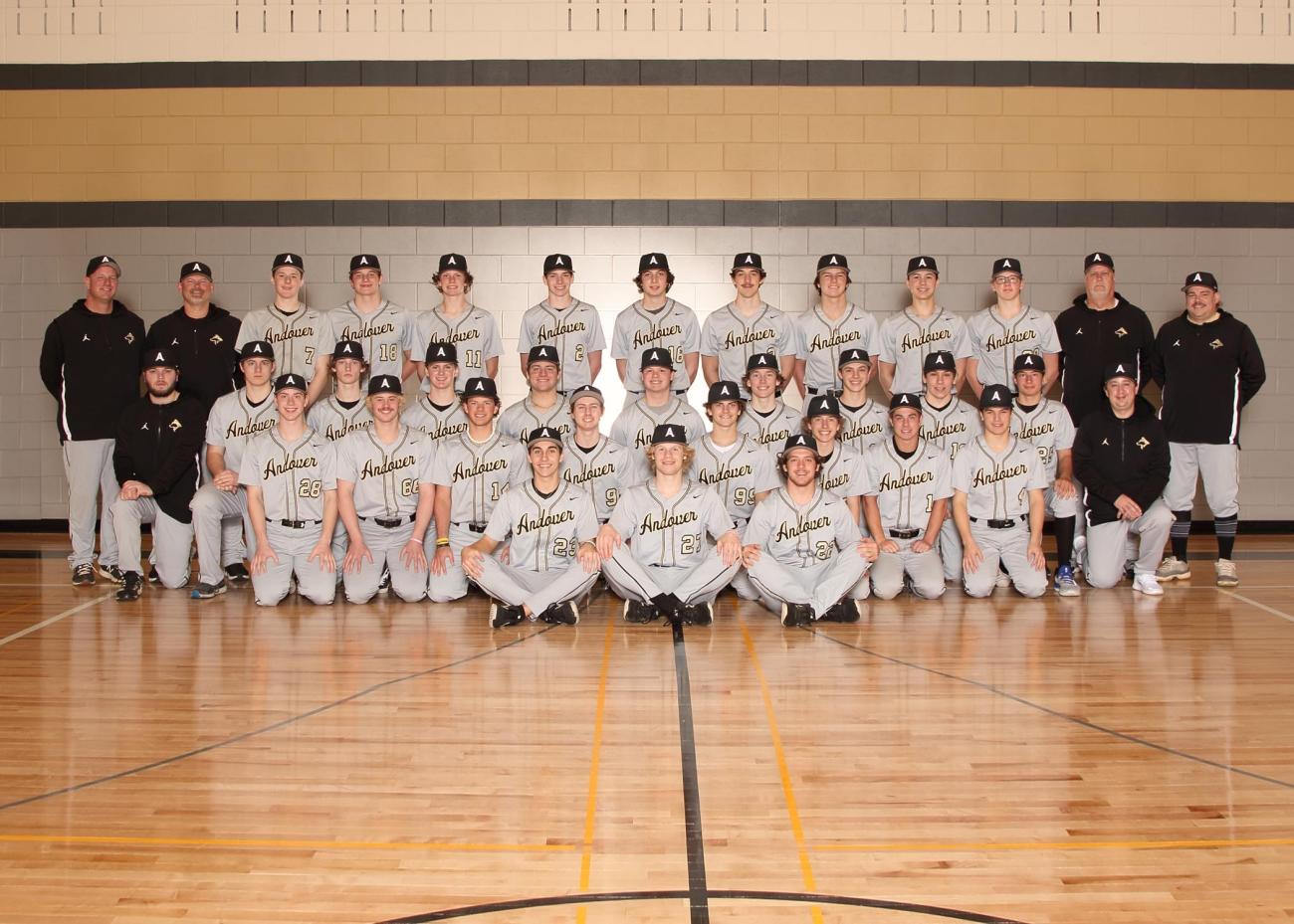 Andover High School Baseball Teams MSHSL